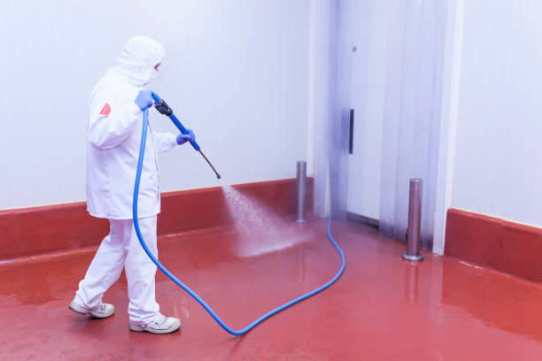 Best Driveway Pressure Washing  in Mbria, CA
